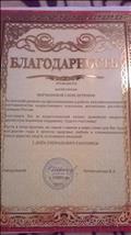 Благодарность за высокий уровень профессионализма в работе